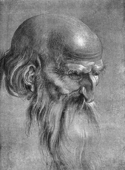 Albrecht Durer Head of an Apostle Looking Downward Norge oil painting art